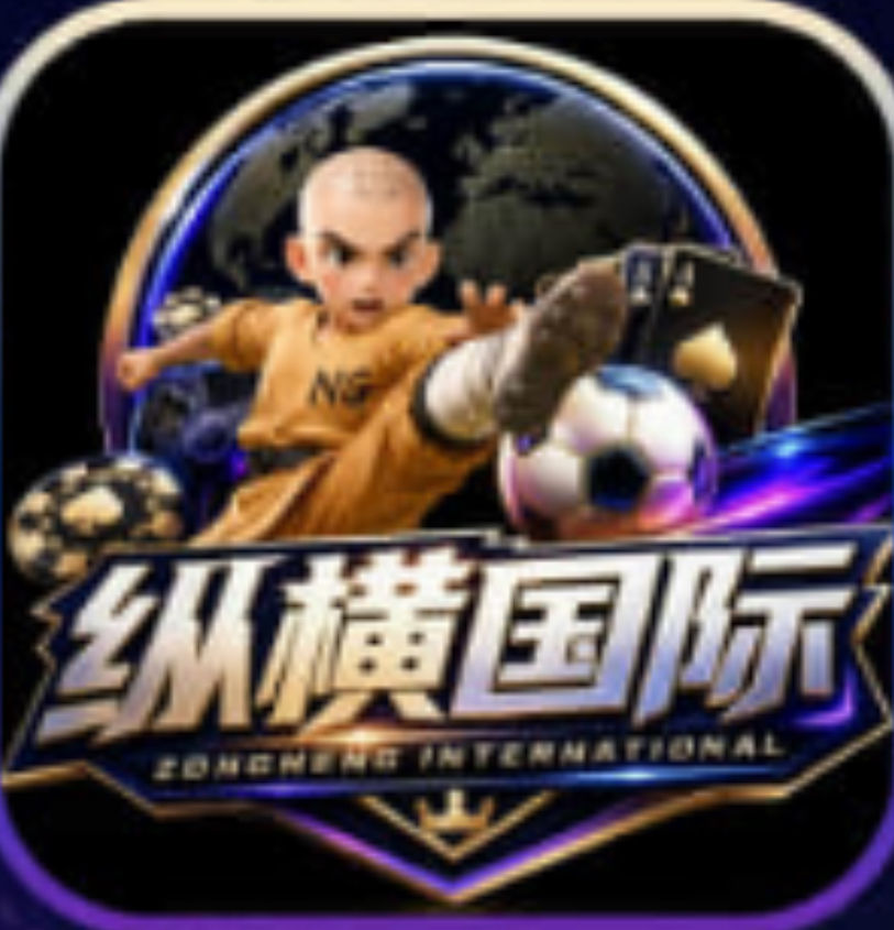 纵横国际